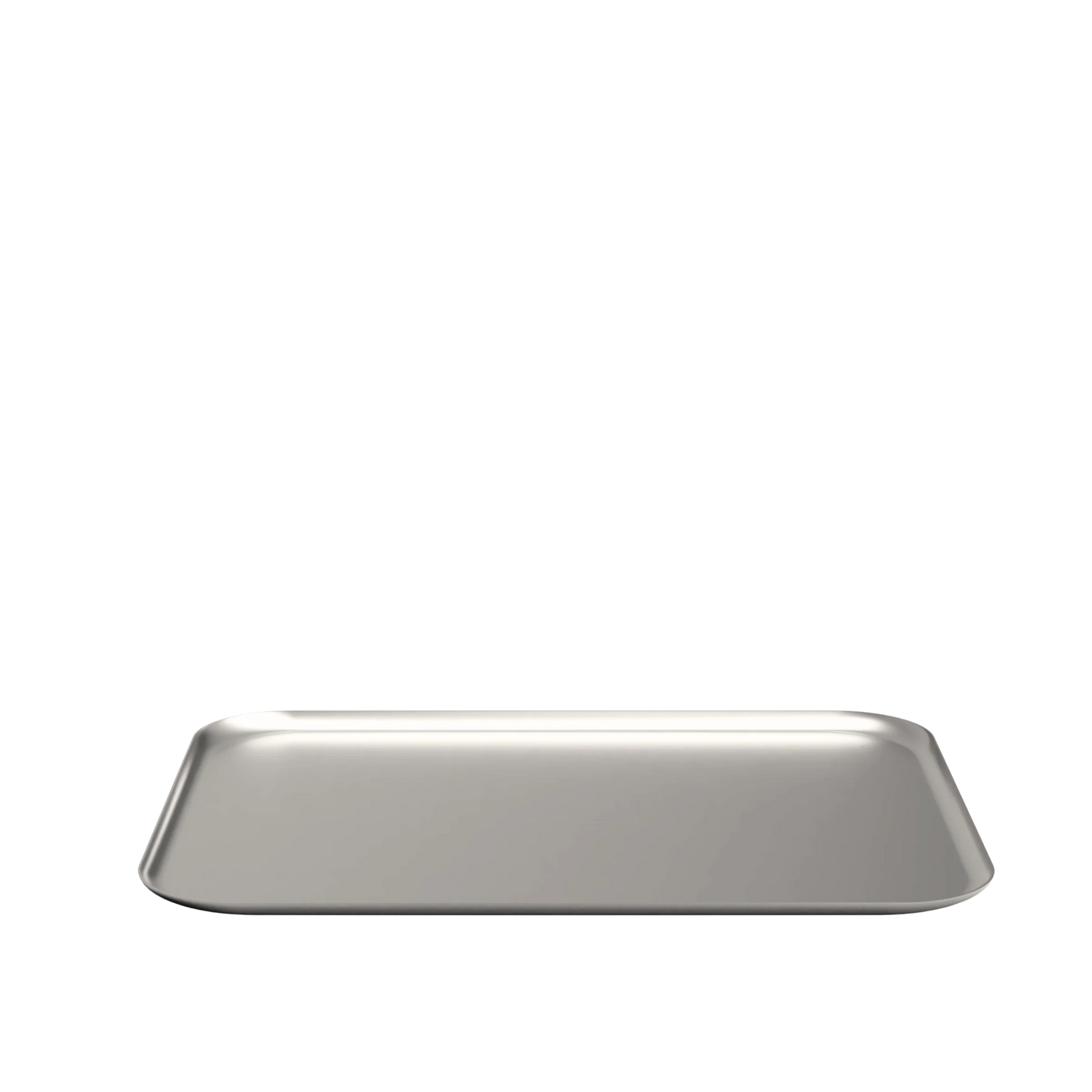 Stainless steel tray - X-Large